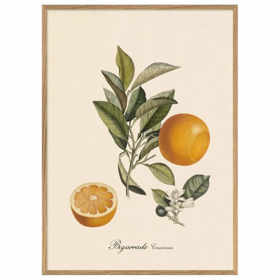 Affiche Bigarrade Couronnée