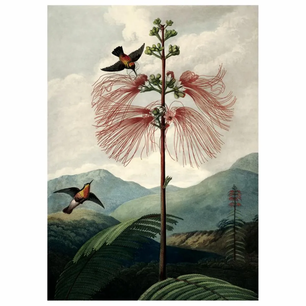 Affiche The Tree of Flowers