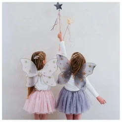 Ailes de Fée Starry Night | Gris