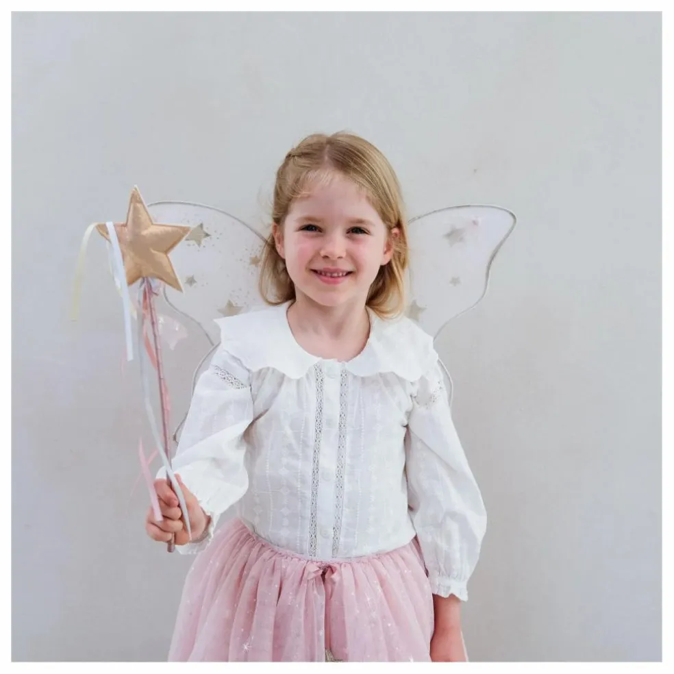 Ailes de Fée Starry Night | Rose