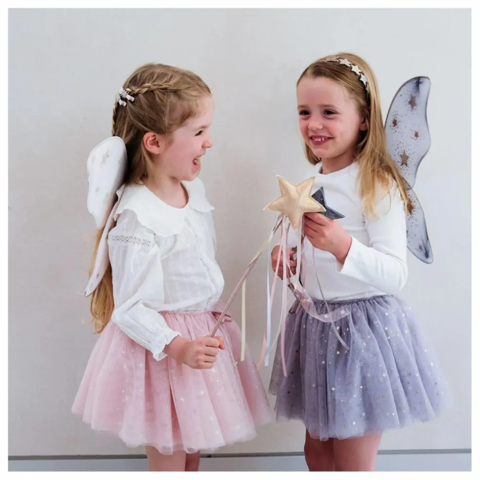 Ailes de Fée Starry Night | Rose