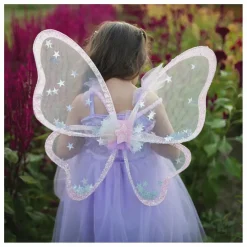 Ailes de fées étoiles scintillantes