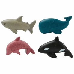 Animaux de la mer