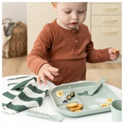 Assiette compartimentée Croco | Sauge