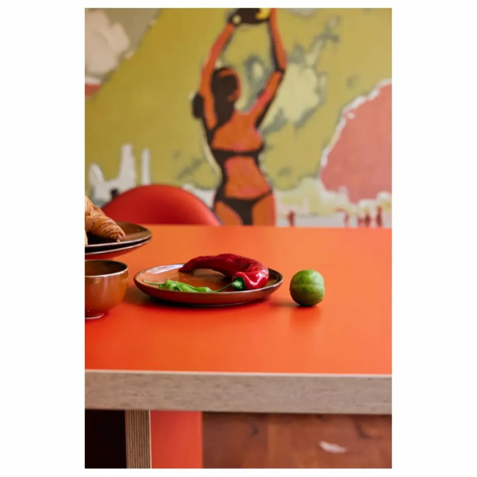 Assiette en porcelaine Chef ceramics | Terracotta