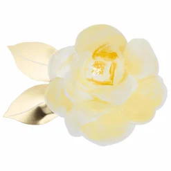 Assiettes en carton Jardin de Roses - Set de 8