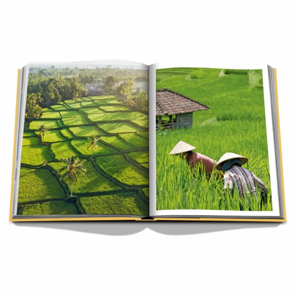 Bali Mystique