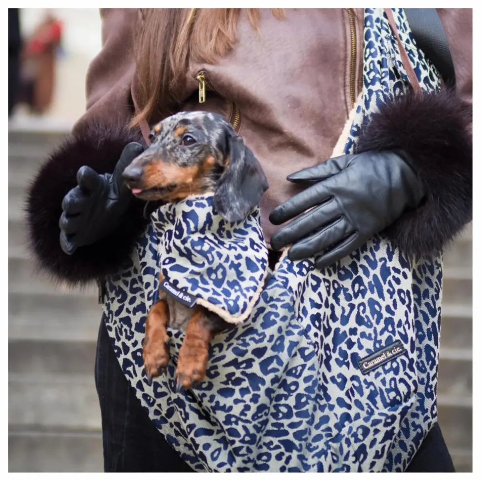 Bandana Chien Léopard | Gris