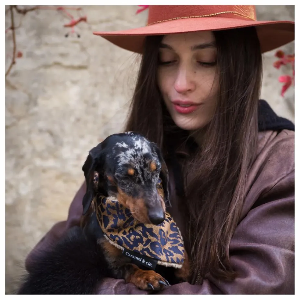 Bandana Chien Léopard | Marron