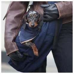 Bandana Denim Chien | Bleu