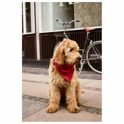 Bandana pour chien | Rouge
