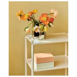 Boîte de rangement Colour | Craie