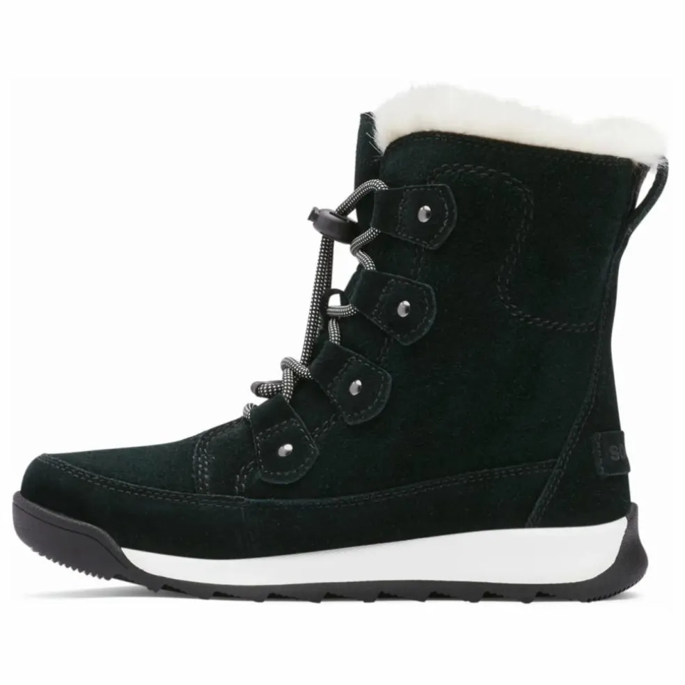 Bottes Fourrées Whitney Suède | Noir