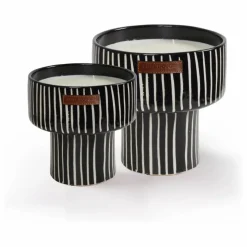 Bougie Coupe Zébré - Mandarine Majorelle