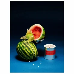 Bougie Watermelon Sips & Poolside Dips - 250 g