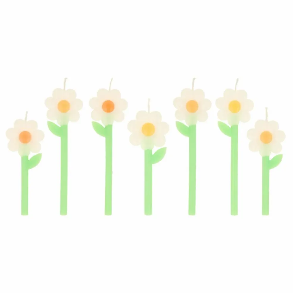 Bougies Marguerite - set de 6