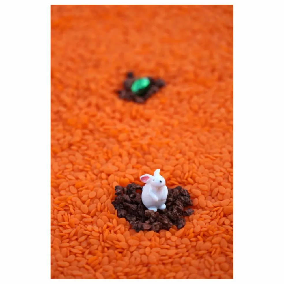 Bouteille sensorielle Lapin