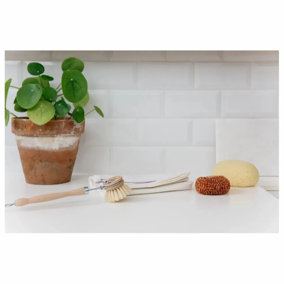 Brosse à vaisselle naturelle
