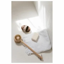 Brosse de massage pour brossage à sec