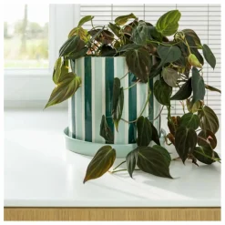Cache-pot Clash Stripe | Vert