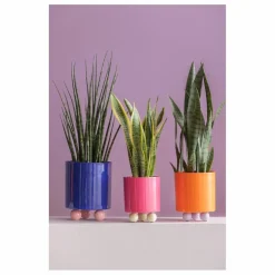 Cache-pot Double Funky | Rose