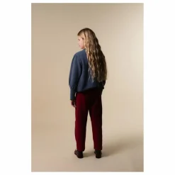 Cardigan Austrian | Bleu gris