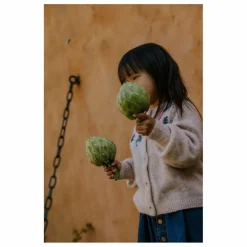 Cardigan Star Laine Alpaga | Rose pâle