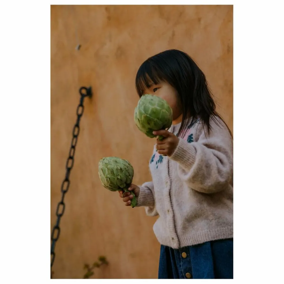 Cardigan Star Laine Alpaga | Rose pâle