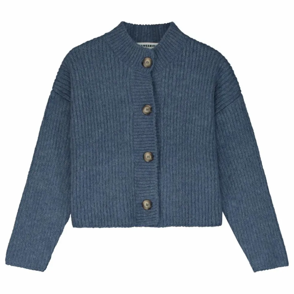 Cardigan Tricoté | Bleu