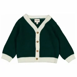 Cardigan Vassili Laine | Vert