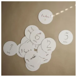 Cartes étapes