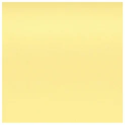 Chaise DSR Plastic - piètement blanc epoxy - Charles & Ray Eames | Jaune citron
