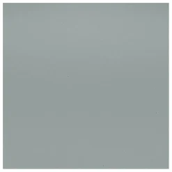 Chaise DSR Plastic - piètement blanc epoxy - Charles & Ray Eames | Gris clair