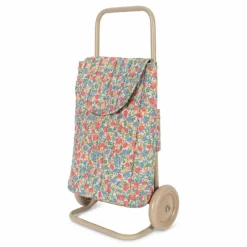 Chariot de courses Fiola | Bleu