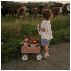 Chariot en rotin Petal | Rose pêche