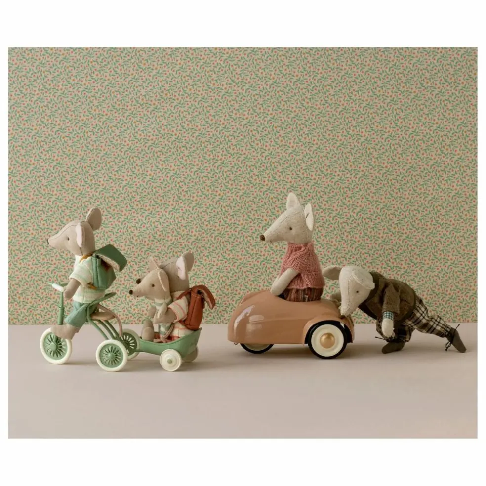 Chariot tricycle | Vert