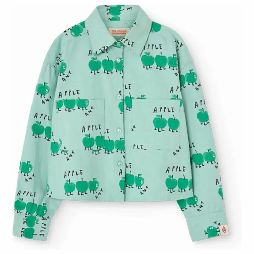 Chemise Beabull | Turquoise