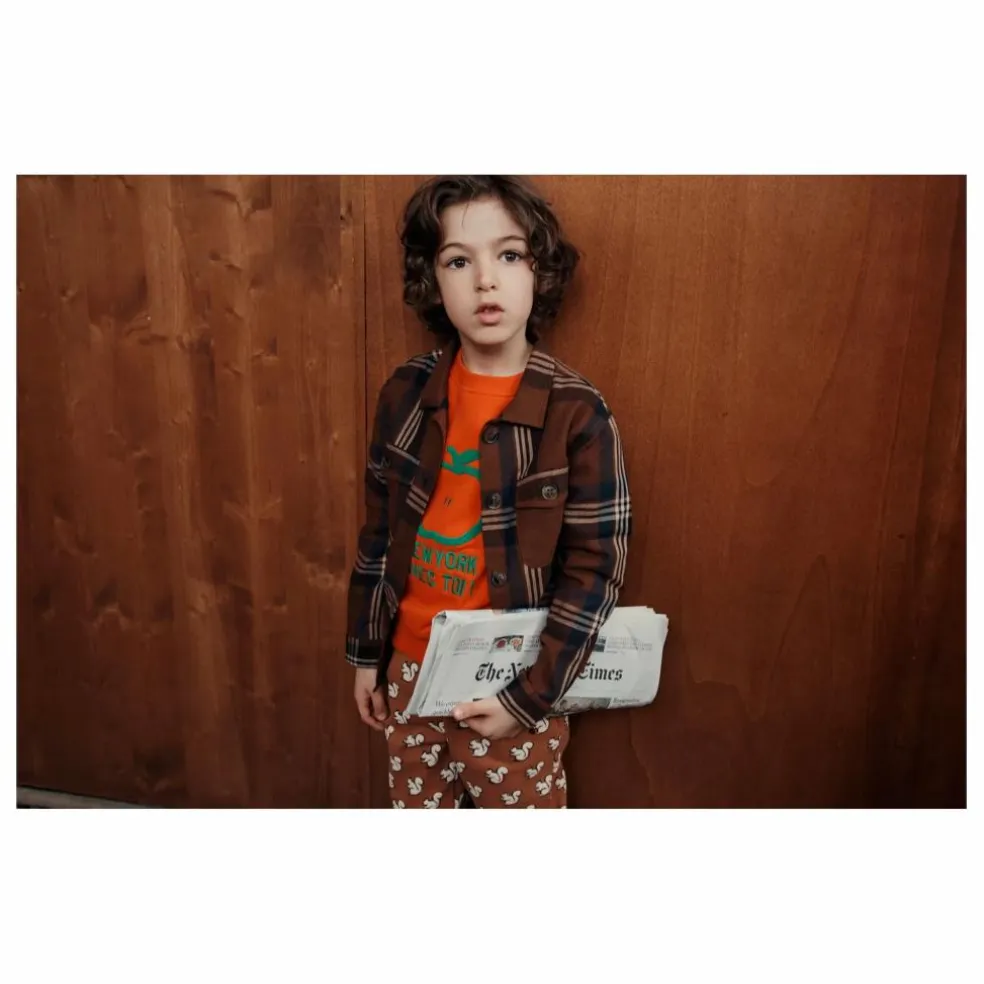 Chemise Carreaux Flanelle | Marron