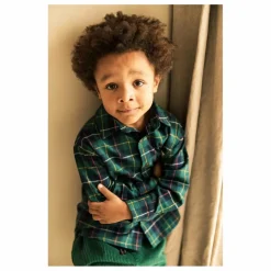 Chemise Scott Carreaux | Vert
