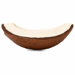 Coco la noix de coco de dentition | Blanc