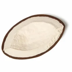 Coco la noix de coco de dentition | Blanc