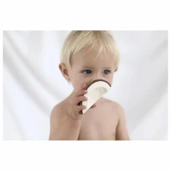 Coco la noix de coco de dentition | Blanc