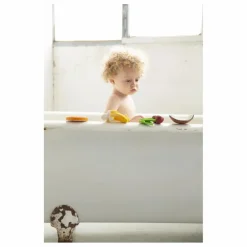 Coco la noix de coco de dentition | Blanc
