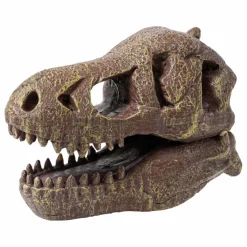 Coffret d'archéologie - Museum Dino Skull