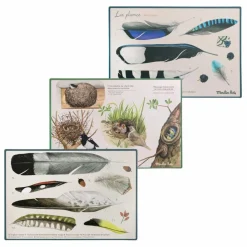 Coffret découverte des oiseaux