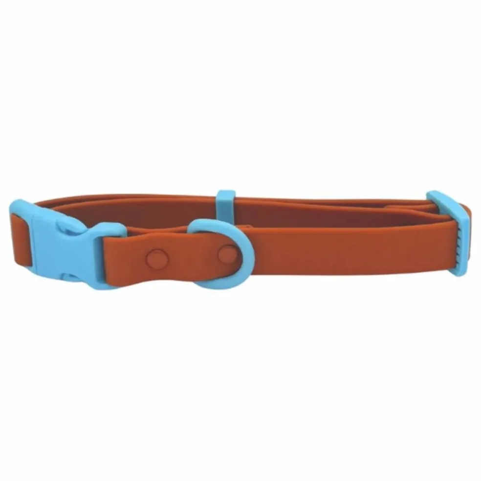 Collier pour chien | Chocolat