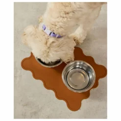 Collier pour chien | Lilas