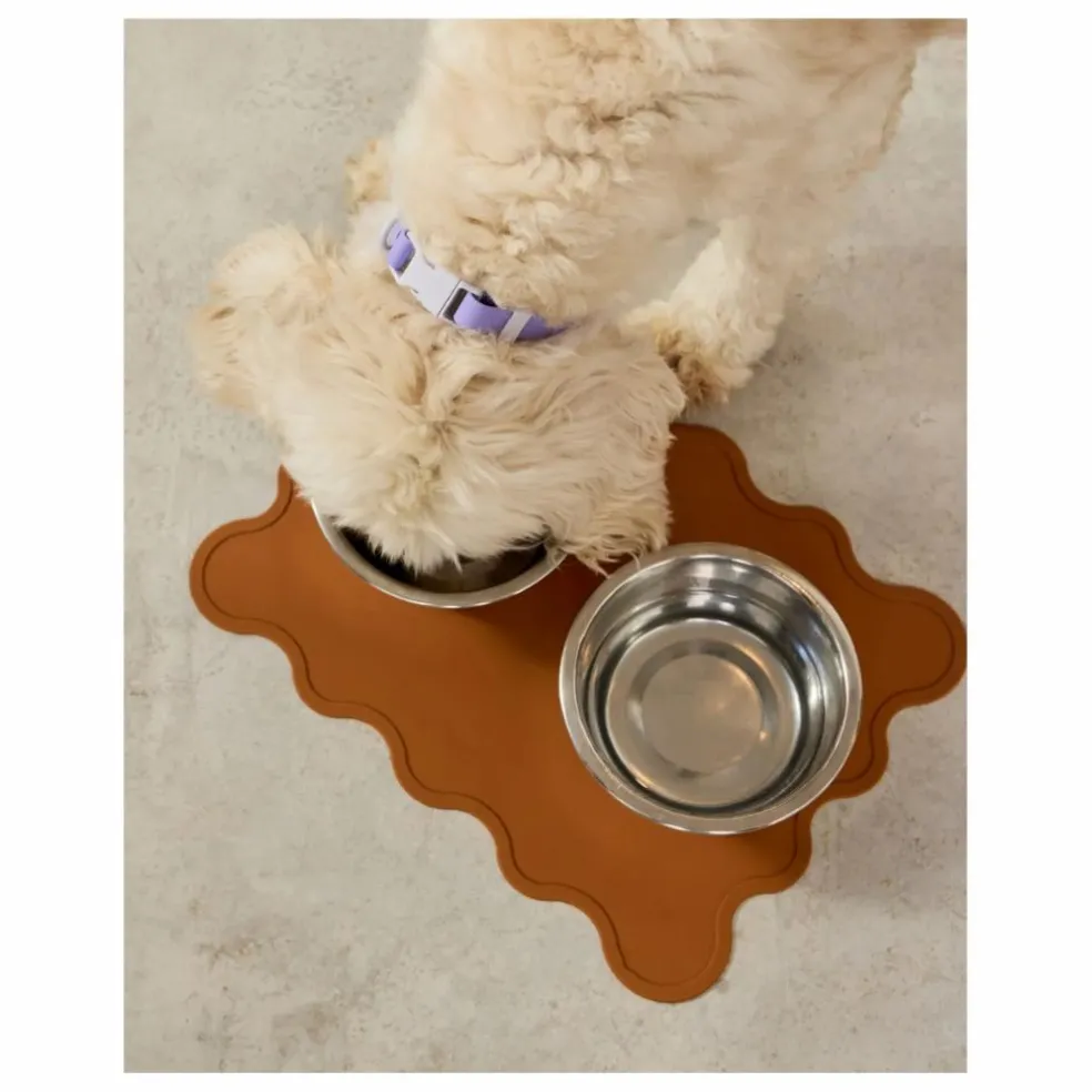 Collier pour chien | Lilas