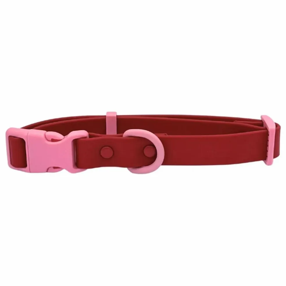 Collier pour chien | Rouge cerise