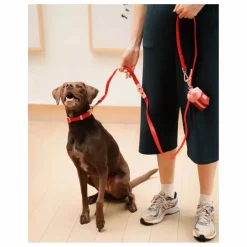 Collier pour chien | Rouge cerise
